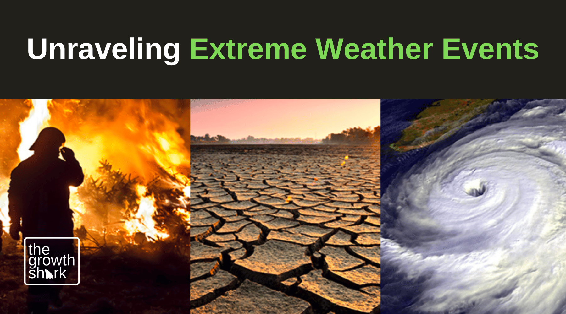 Unraveling Extreme Weather Events