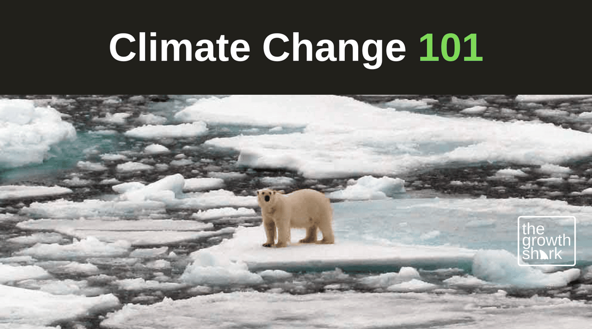 Climate Chronicles: A Dive into Climate Change 101 – The Growth Shark