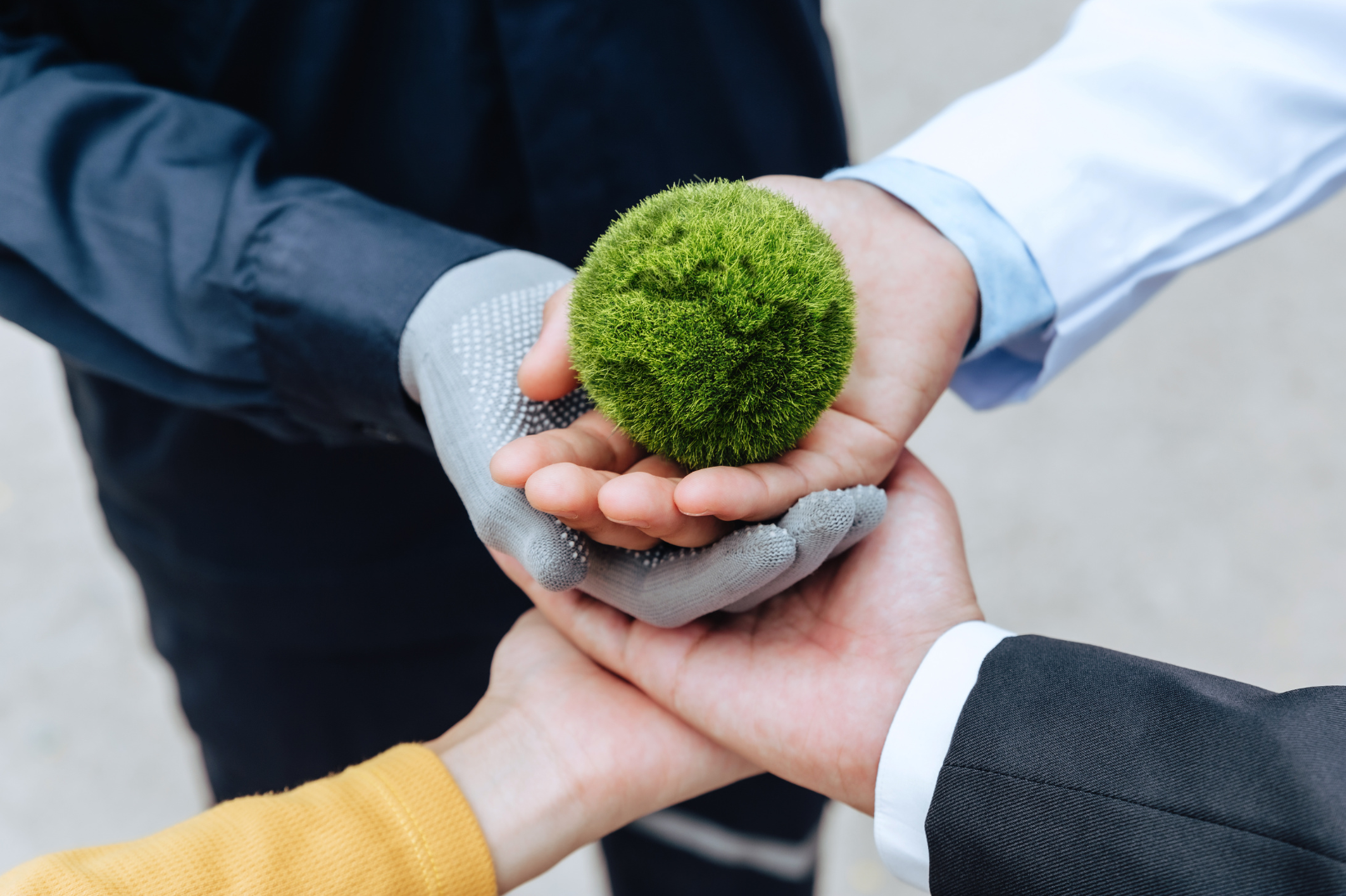 A green moss ball held collaboratively by hands of business professionals, symbolizing the synergy between corporate governance and environmental cause marketing.
