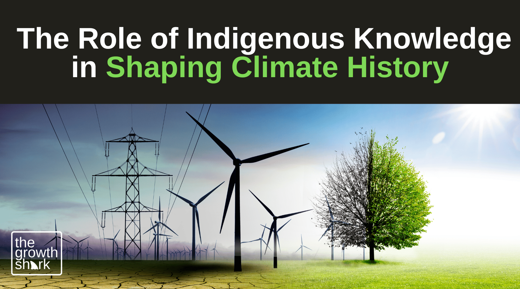  The Role of Indigenous Knowledge in Shaping Climate History