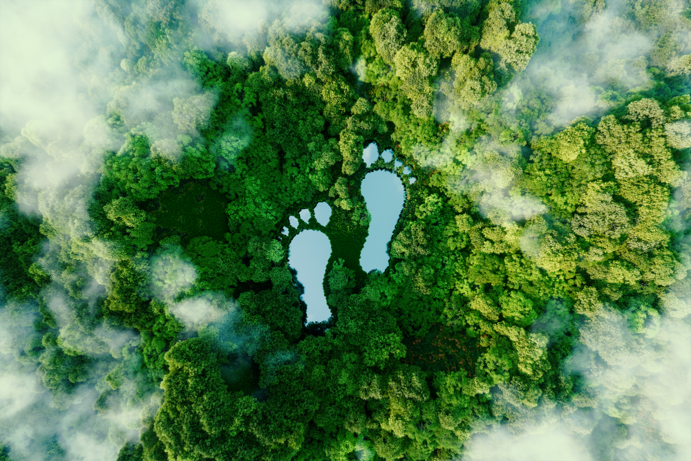 Aerial view of green forest with footprints symbolizing sustainability