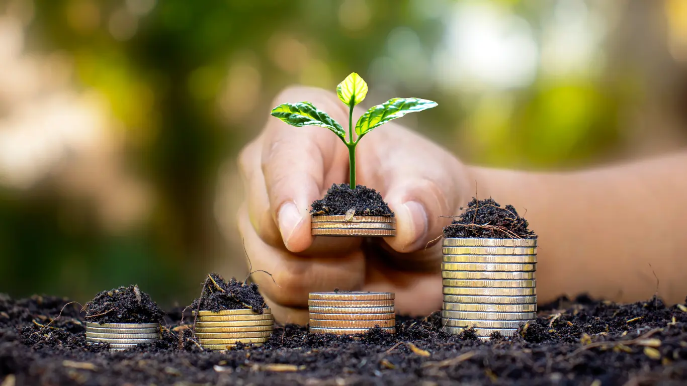 Seedling growing from stacked coins, symbolizing mission-first growth and impact-driven revenue for B Corps