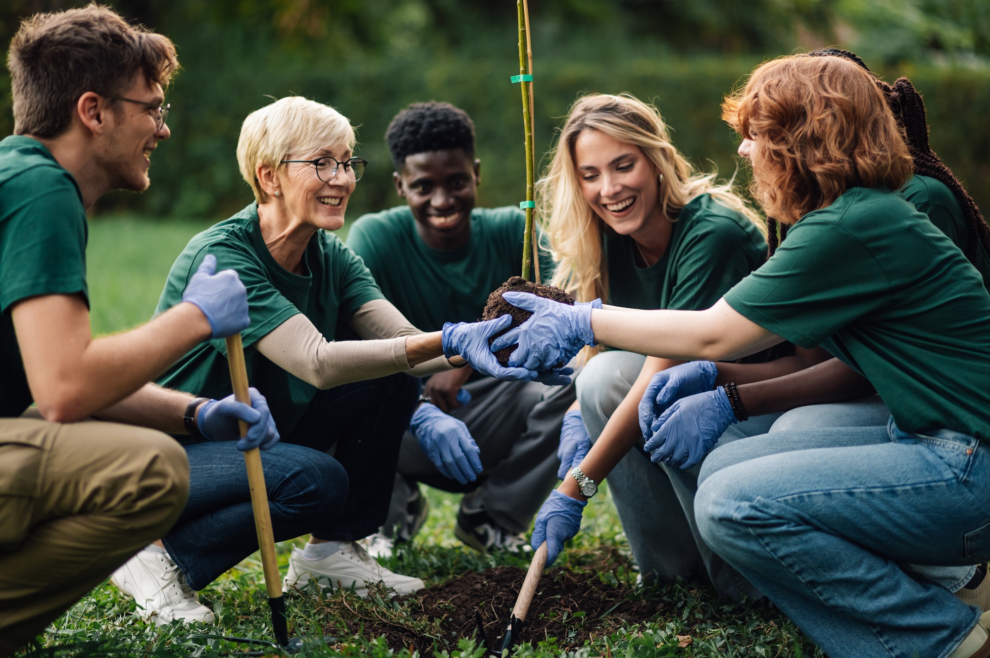 Volunteers working together to plant a tree, representing community-driven sustainability initiatives and collective environmental responsibility.